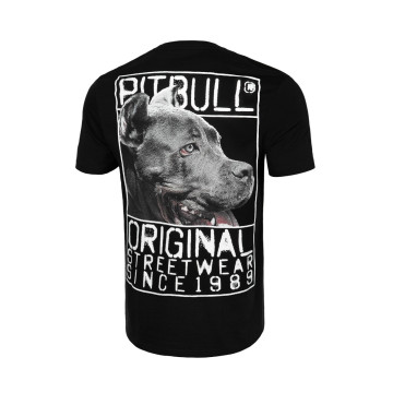 Pit Bull T-shirt origin | zwart