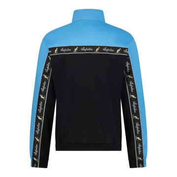 Australian duo jack zwarte borstbies 3.0 | zwart - smurf blauw